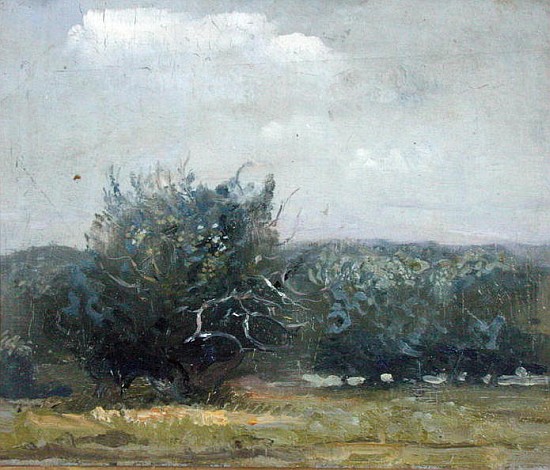 Apple Tree Field (oil on canvas)  a Gail  Schulman