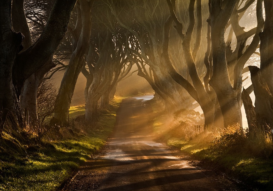 The Road Goes Ever On &amp; On a Gary McParland