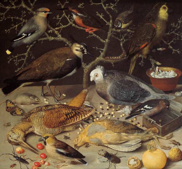Still Life of Birds and Insects a Georg Flegel