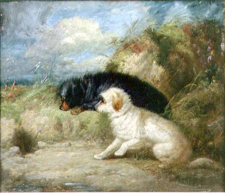 Terriers by a Rabbit Hole a George Armfield