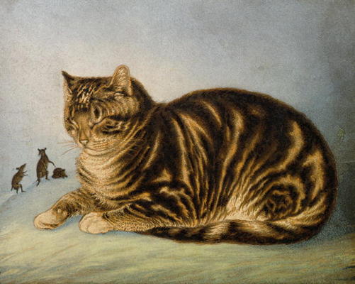 Puss Napping (print) a George Baxter