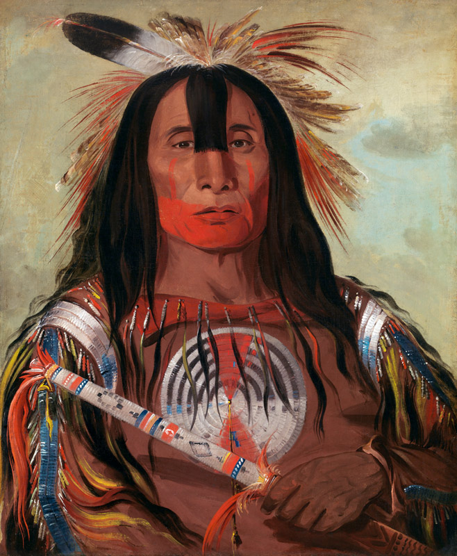 Buffalo''s Back Fat a George Catlin