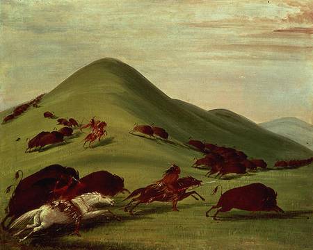 The Buffalo Hunt a George Catlin