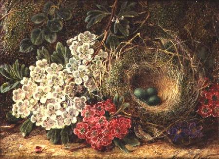 Still life with bird's nest a George Clare