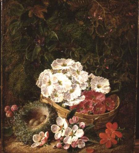 Still life of bird's nest, primulas in a basket and apple blossom a George Clare