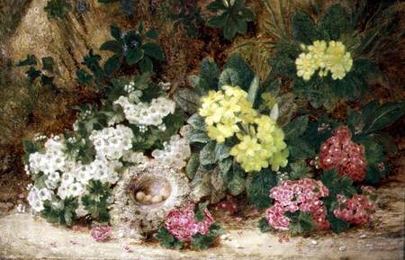 Still Life with Primroses a George Clare