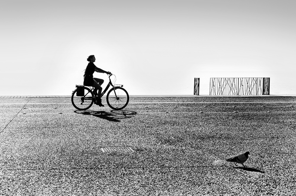 Bicycle Stories a George Digalakis