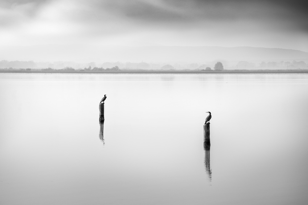 Conversation a George Digalakis