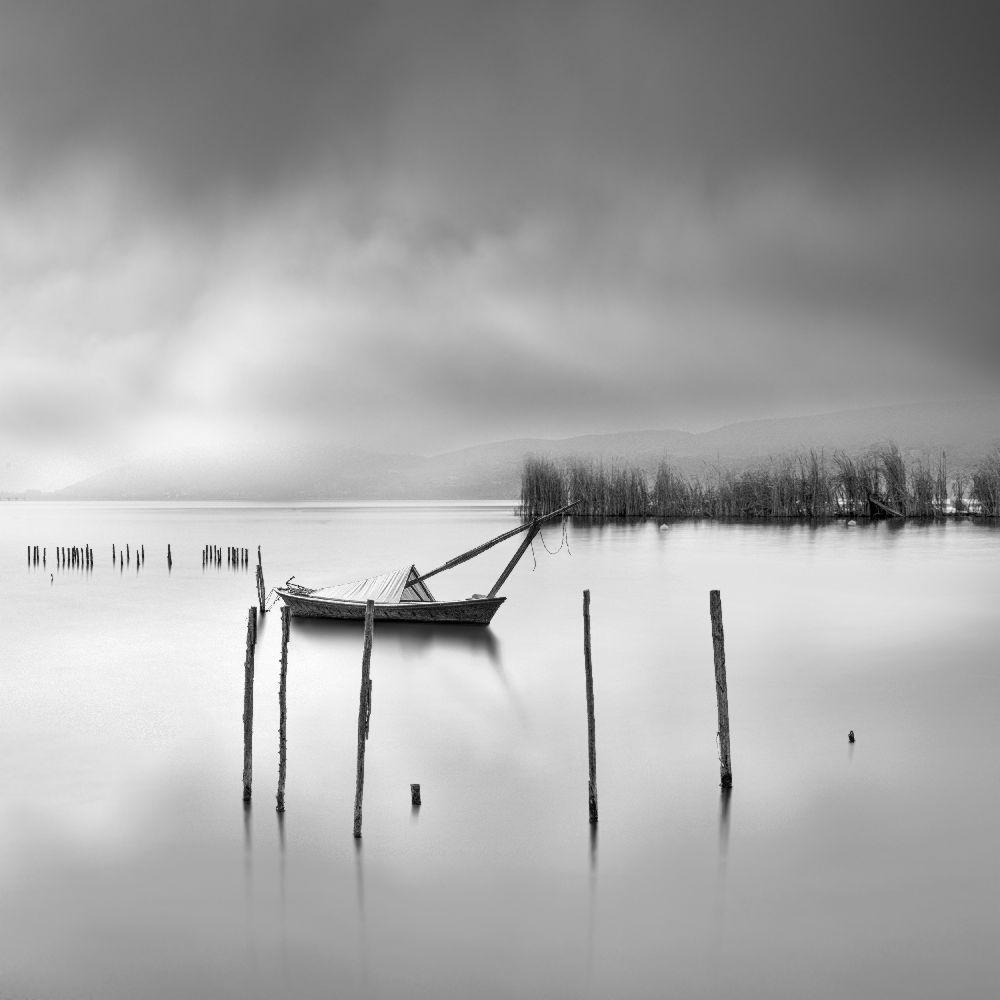 Shades of Gray a George Digalakis