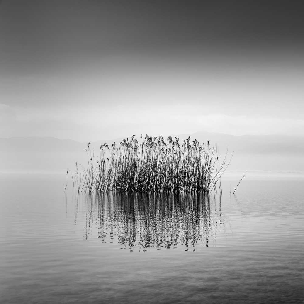 Lake Reflections a George Digalakis