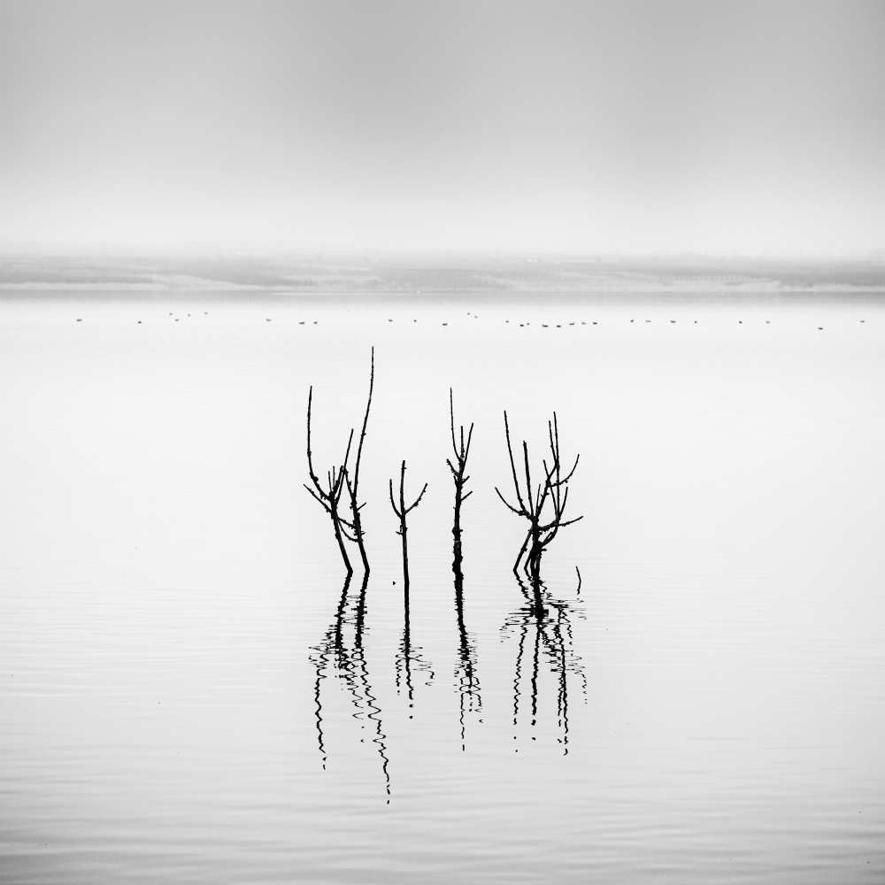 Lake Reflections a George Digalakis