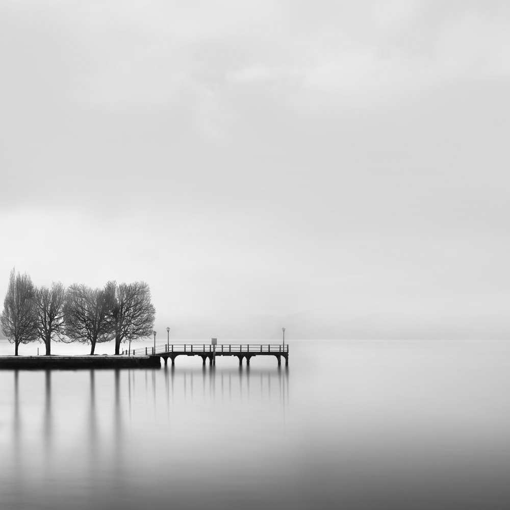 Pier with Trees (2) a George Digalakis