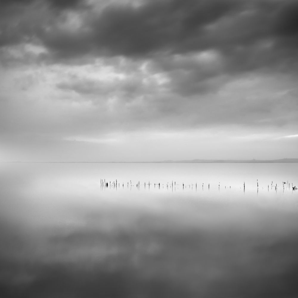 Sixty shades of gray a George Digalakis