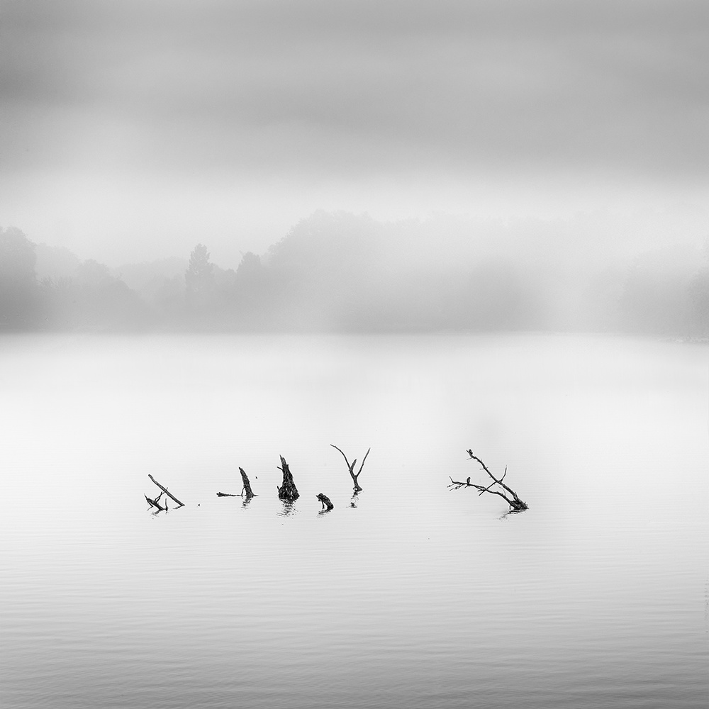 Waterland a George Digalakis