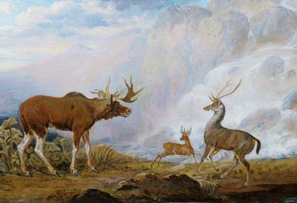 Earl of Orford's Elk, Antelope and Stag a George Garrard
