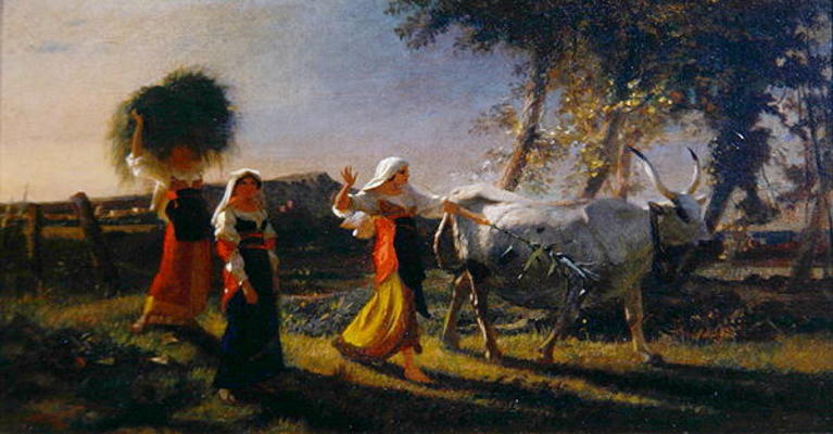 Italian Peasant Women in the Campagna driving an Ox (oil on canvas) a George Hemming Mason