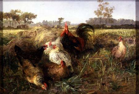 Fowls in the Stubble a George Hickin