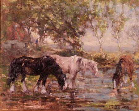 Horses at a Pool a George Smith