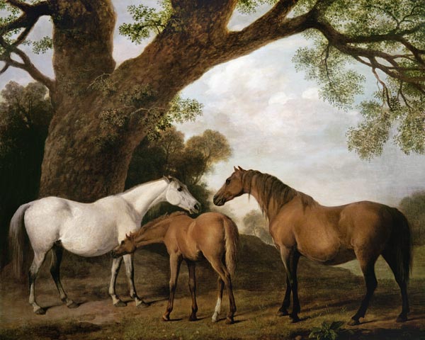 Two Shafto Mares and a Foal a George Stubbs