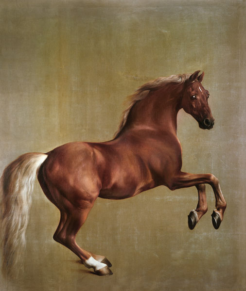 "Whistlejacket" a George Stubbs