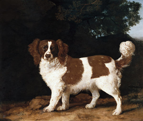 Fanny, the Favourite Spaniel of Mrs. Musters, Standing in a Wooded Landscape a George Stubbs