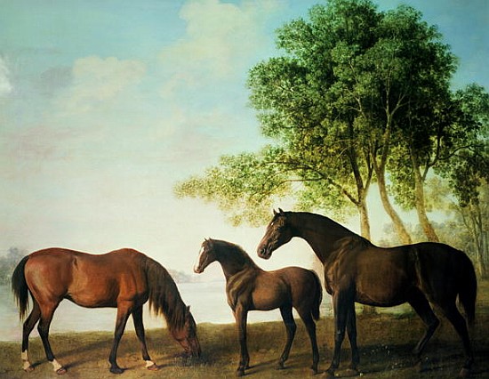 Shafto Mares and a Foal a George Stubbs