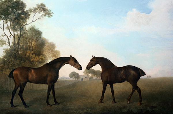 Two Hunters out at Grass a George Stubbs