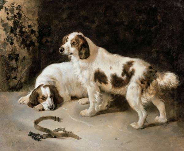 Brittany Spaniels a George W. Horlor