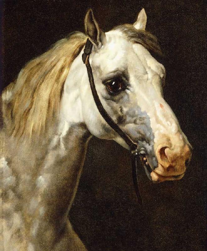 Pferdekopf. a Gericault Theodore