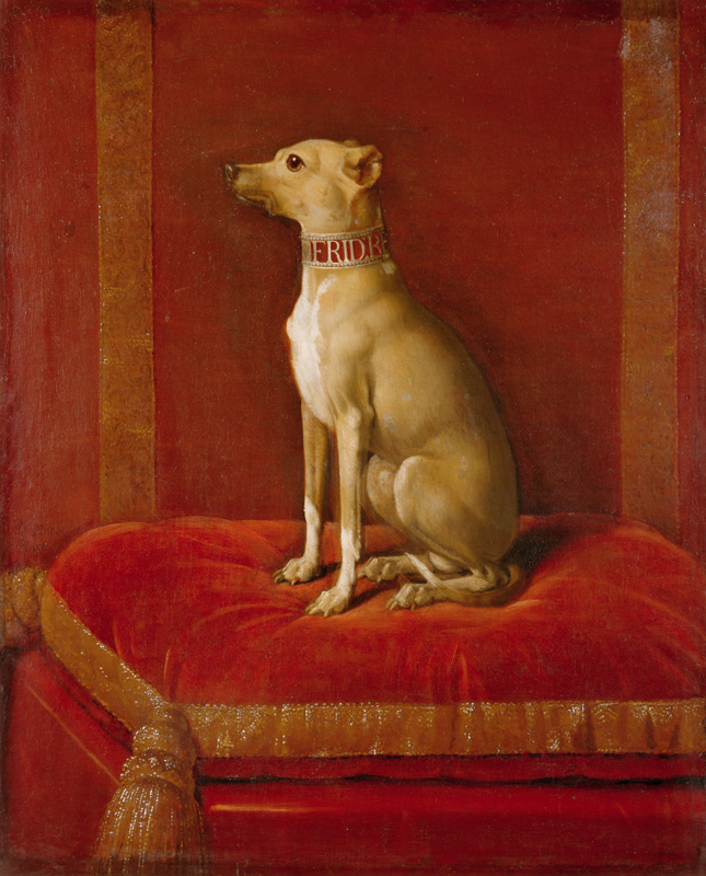 One of Frederick II''s Italian greyhounds a Scuola Tedesca