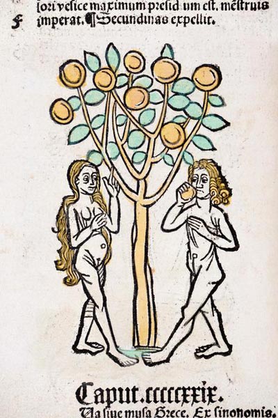 Adam and Eve tree Hortus Sanitatis a Scuola Tedesca