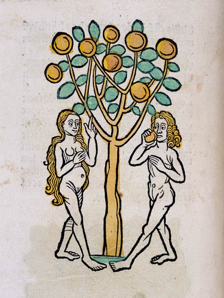 The Tree of Knowledge, from Ortus Sanitatis' a Scuola Tedesca