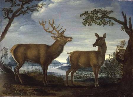 Stag and hind in a wooded landscape (panel) a Scuola Tedesca