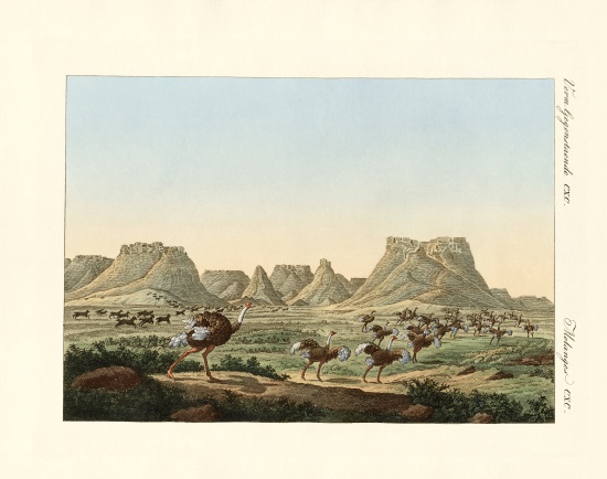 Area in South Africa at the forland of Good Hope a German School, (19th century)