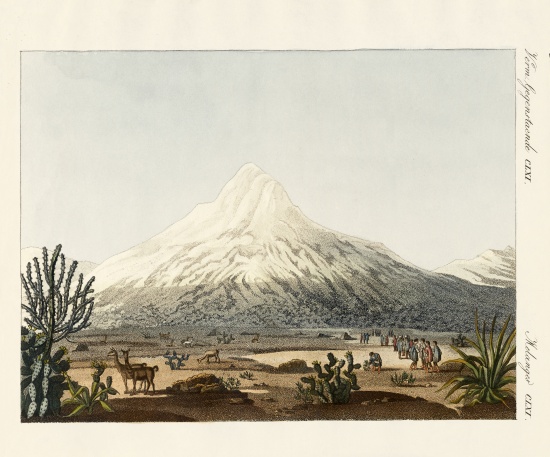 The Chimborazo in South America a German School, (19th century)