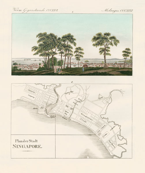 View and map of the East Indian establishment Singapore a German School, (19th century)