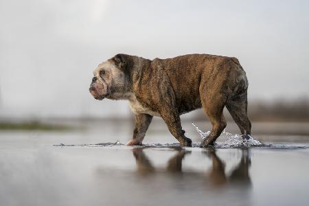 Walking on water