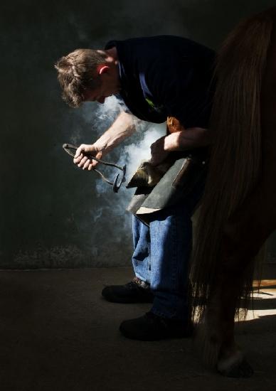 Farrier at work