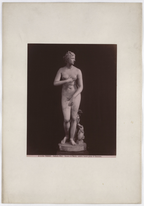 Florence: Venus deMedici, famous Greek work by Cleomene, Uffizi Gallery, No. 3150 bis a Giacomo Brogi