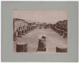 Pompeii: Basilica, building where justice was done, No. 5020