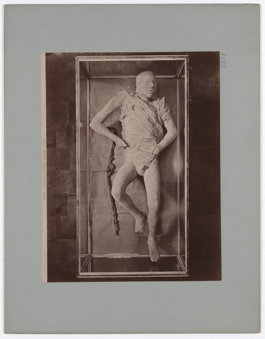 Pompeii: (Museum) Corpse of a man, No. 5573 a Giacomo Brogi