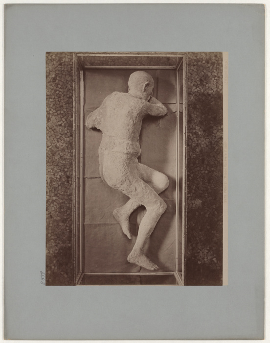 Pompeii: (Museum) Corpse of a man, No. 5579 a Giacomo Brogi