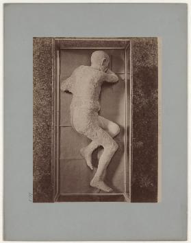 Pompeii: (Museum) Corpse of a man, No. 5579