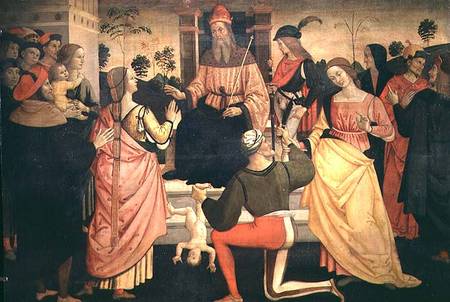 The Judgement of Solomon a Giacomo Pacchiarotti