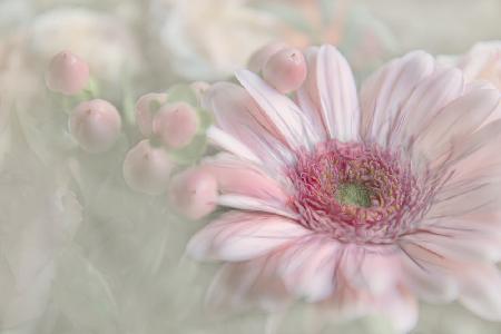 Flowering Happiness