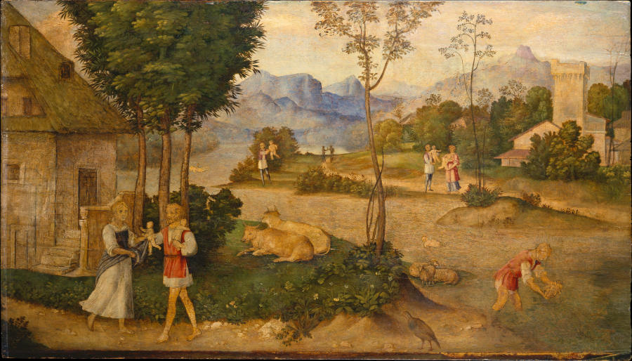 The Finding of Romulus and Remus a Giorgione