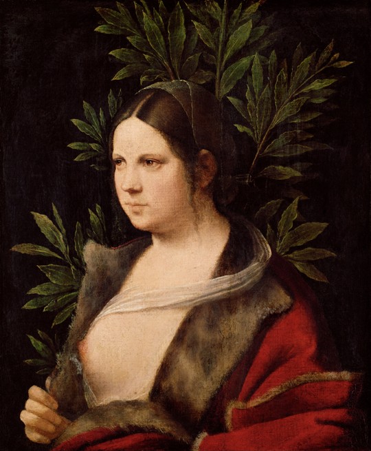 Young Woman ("Laura") a Giorgione