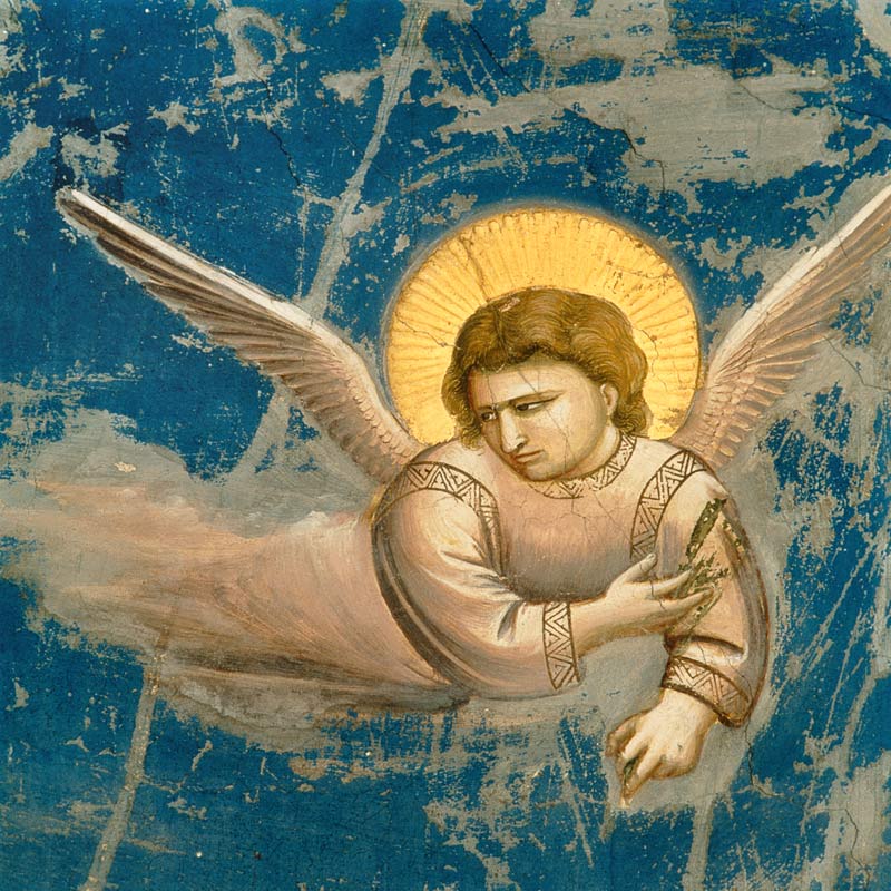 Giotto /Flight to Egypt, Angel/ C14th a Giotto di Bondone