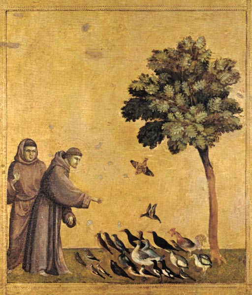 St. Francis of Assisi preaching to the birds a Giotto di Bondone