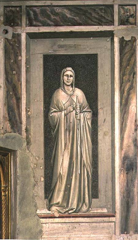 Temperance a Giotto di Bondone